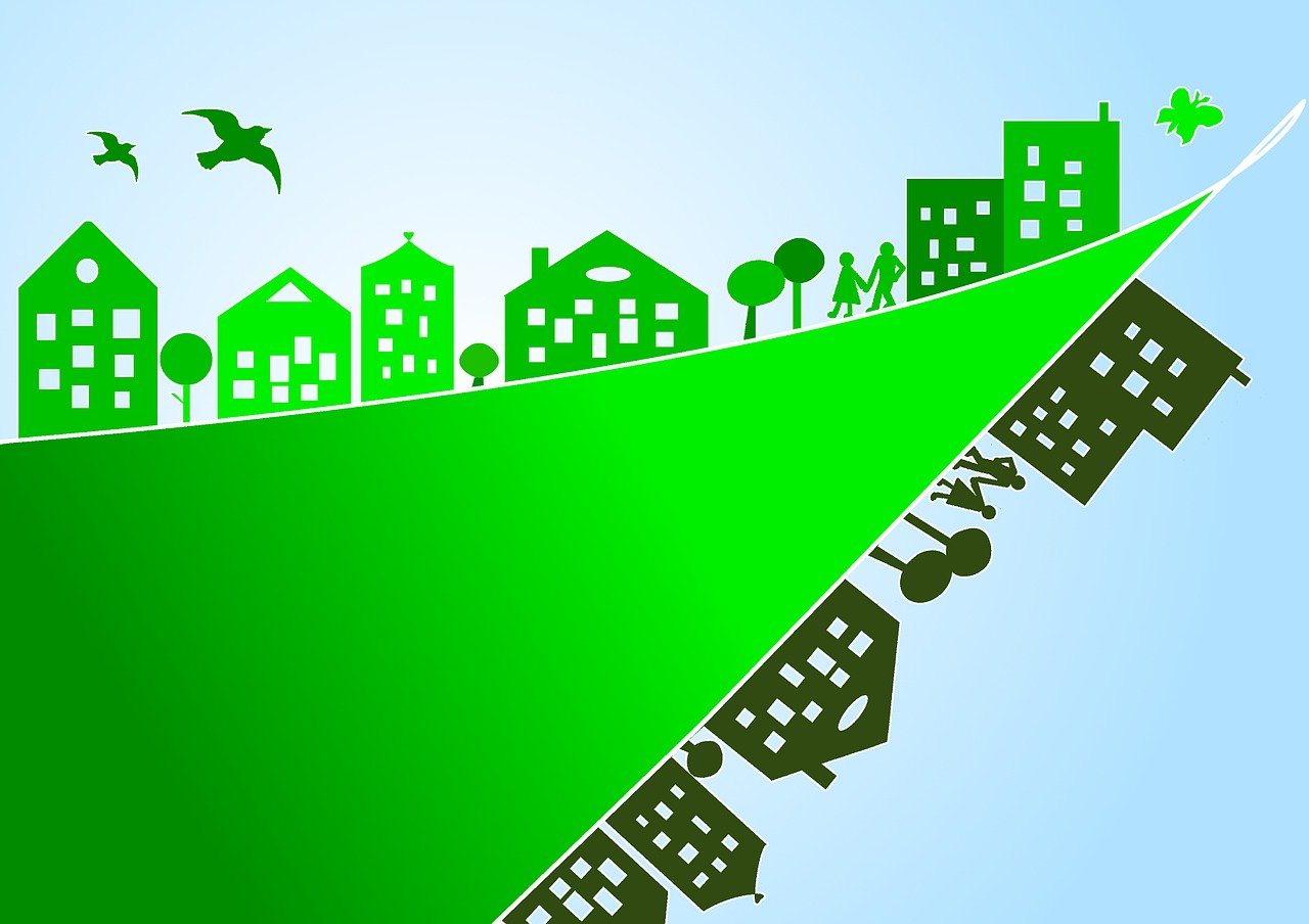 découvrez comment la conservation durable façonne un avenir éco-responsable. explorez des pratiques innovantes qui préservent notre biodiversité tout en respectant les ressources naturelles.