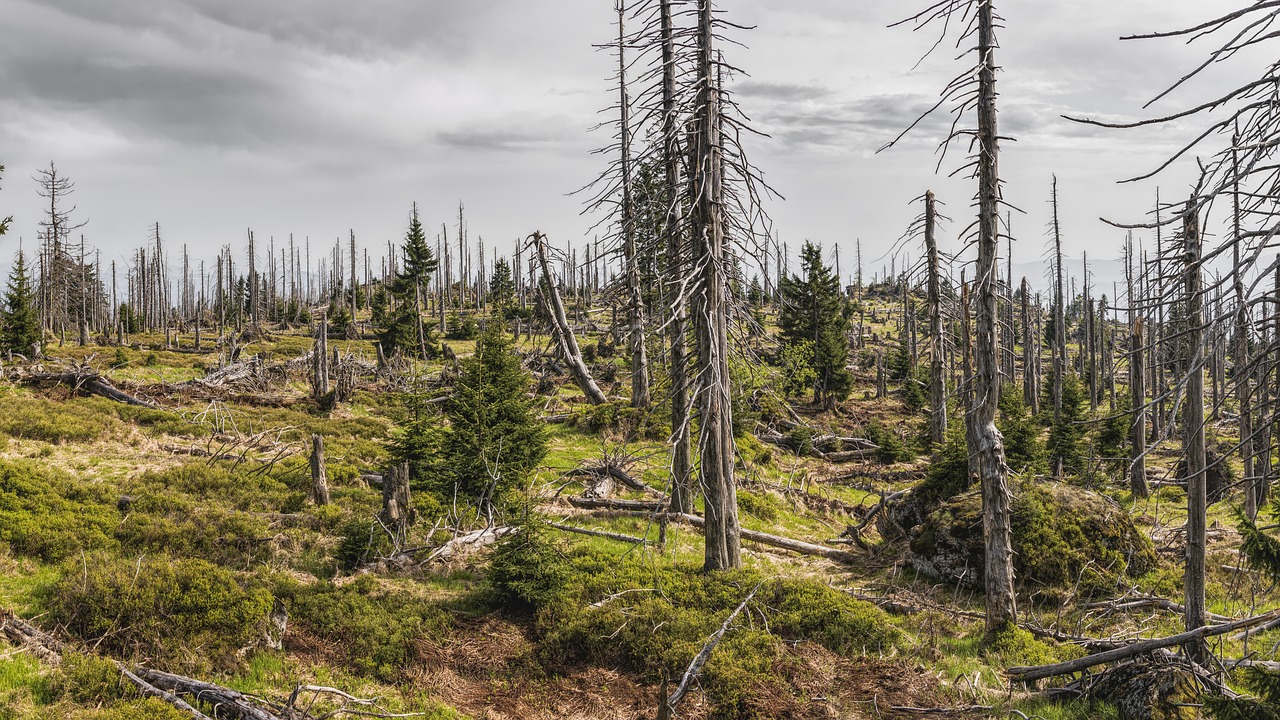 découvrez les dernières avancées et solutions innovantes pour la protection de l'environnement. suivez l'actualité, les projets et les initiatives qui contribuent au progrès environnemental durable.