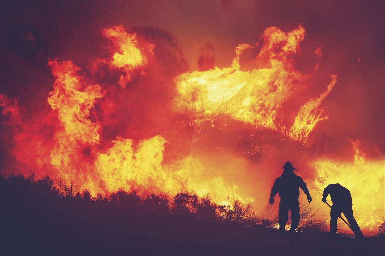 découvrez l'impact des incendies de forêt, leurs causes, conséquences et les mesures à prendre pour prévenir ces catastrophes naturelles. informez-vous sur les régions les plus touchées et les stratégies de lutte contre les feux de forêt.