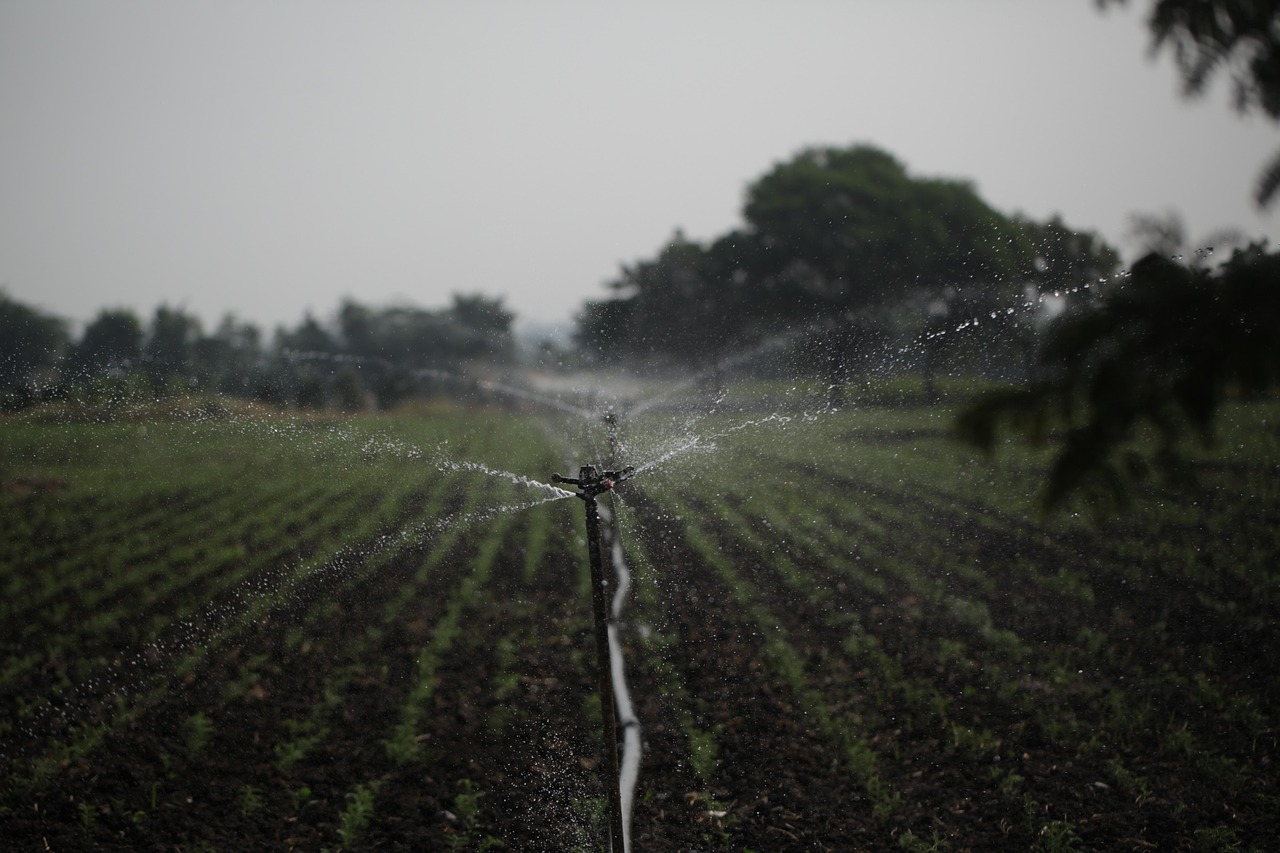découvrez les principes de l'agriculture durable : des pratiques respectueuses de l'environnement, favorisant la biodiversité, la rentabilité et le bien-être des générations futures. adoptez des solutions innovantes pour une agriculture responsable et résiliente.