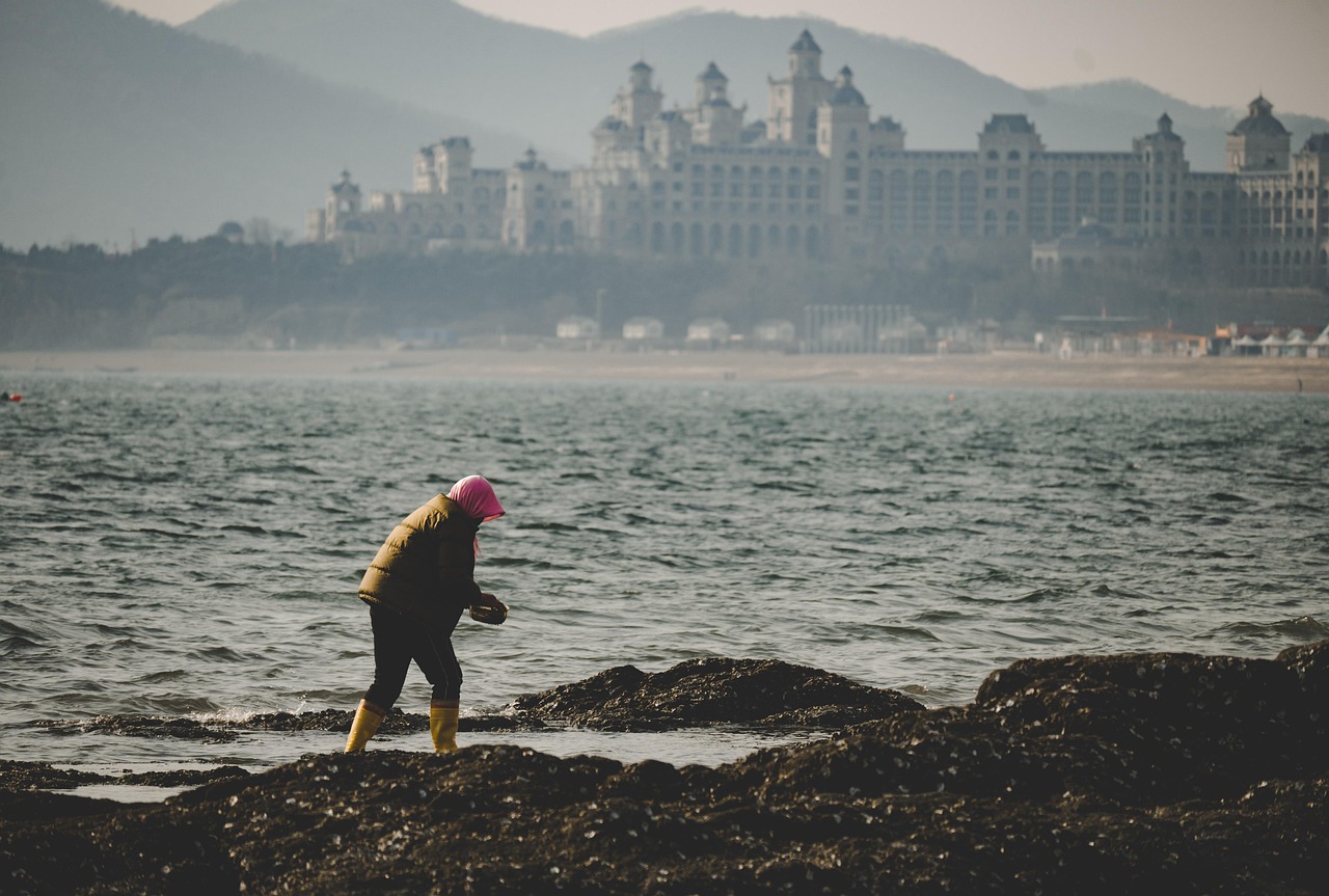 découvrez les enjeux cruciaux de l'écologie marine, une branche essentielle de l'environnement qui étudie les écosystèmes océaniques et leur préservation. informez-vous sur la biodiversité marine, les menaces qui pèsent sur nos mers et océans, et les actions à entreprendre pour protéger cet écosystème vital pour notre planète.