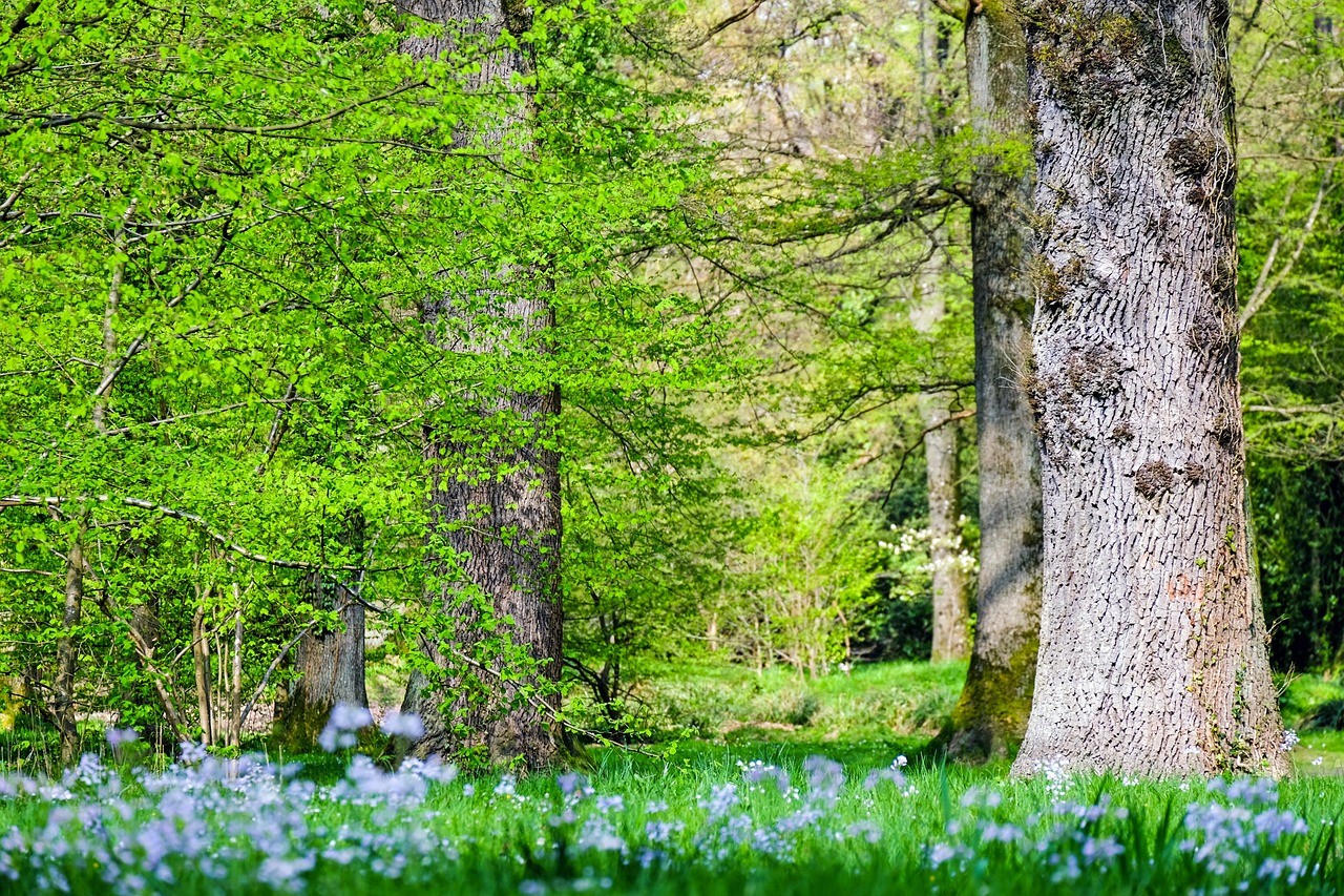 L’hiver approche : l’écologie, oubliée par l’exécutif ?