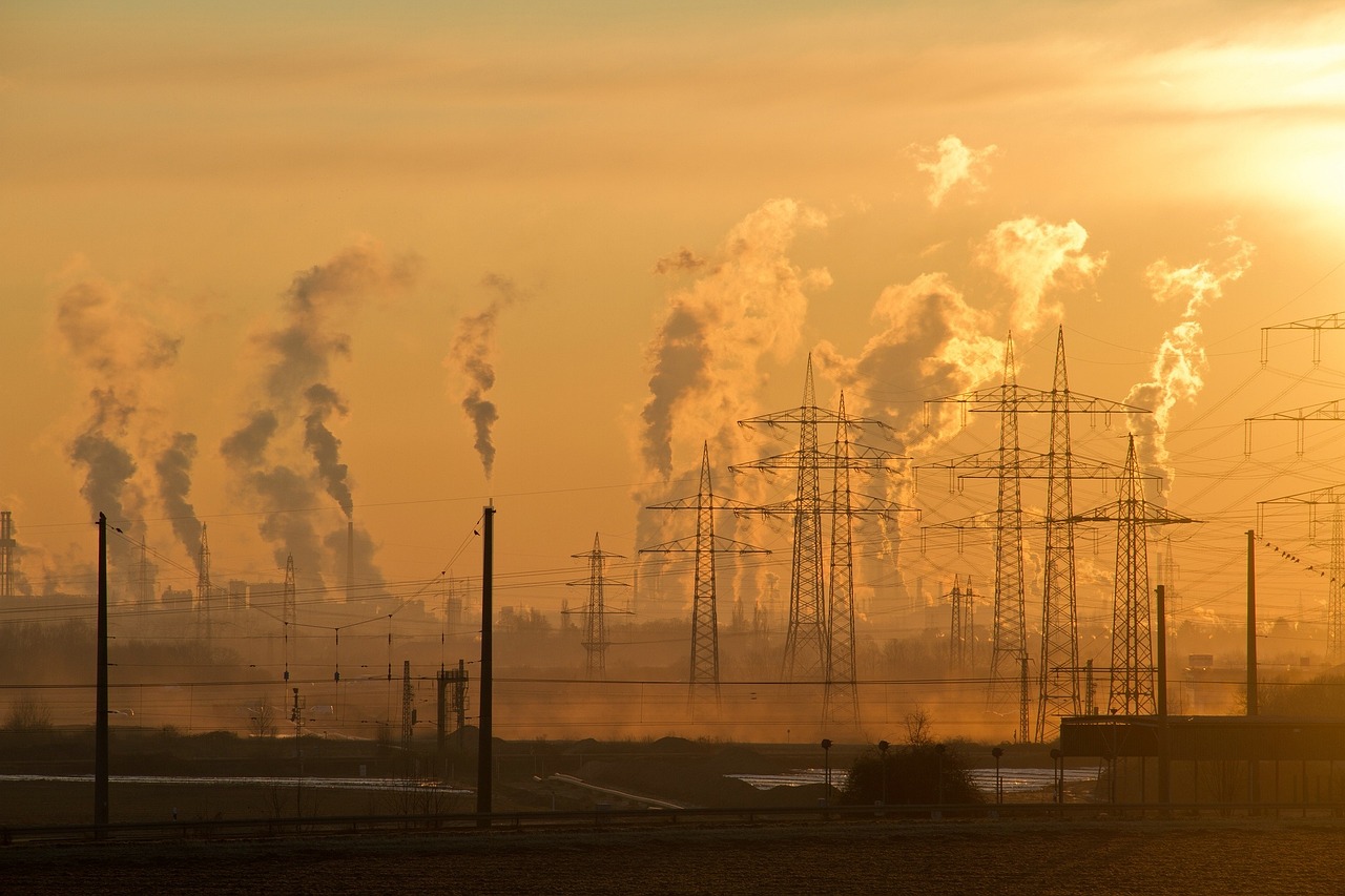 Pollution des sols : enjeux et solutions pour une agriculture durable
