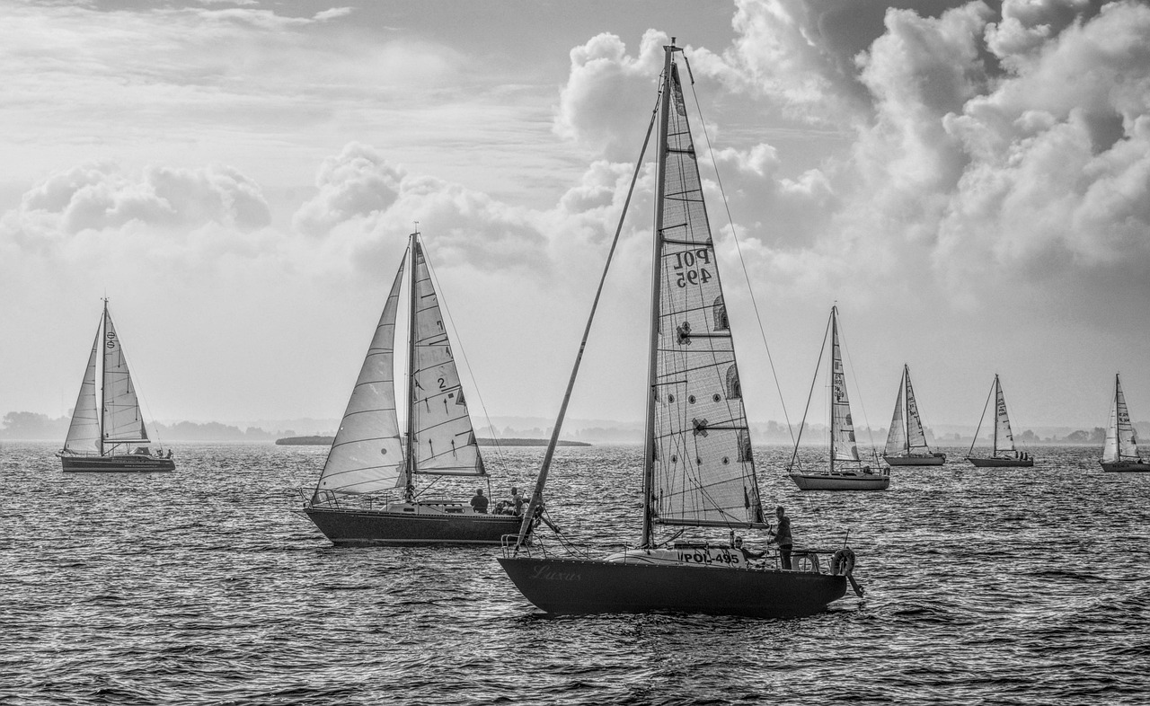 Voile et écologie : la Solo Guy Cotten adopte un cap vert en Finistère face au changement climatique