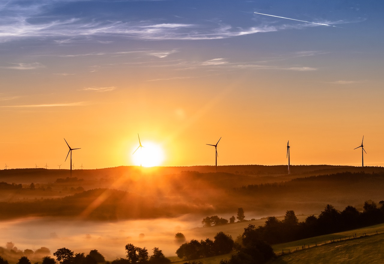Énergies renouvelables : la voix des citoyens face au bilan carbone