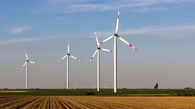 détails concernant le label de transition énergétique et écologique pour le climat