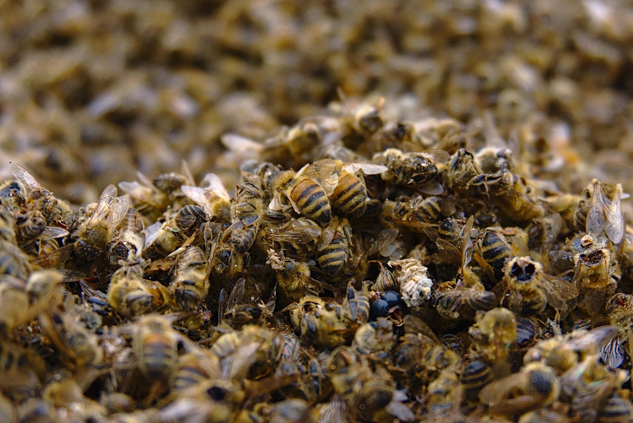 Pesticides de synthèse : un empoisonnement massif en cours, particulièrement alarmant en Loire-Atlantique