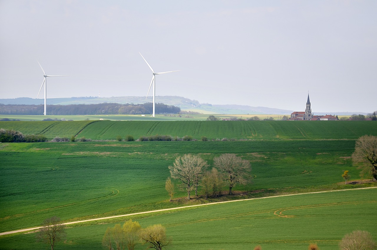 Le développement durable en entreprise : un impératif stratégique