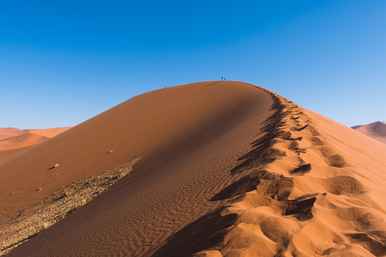 Désinformation climatique : démêler le vrai du faux pour mieux comprendre