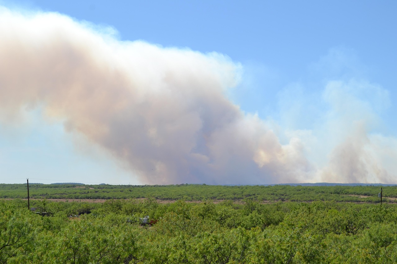 L’augmentation alarmante des feux de forêt provoquée par les changements climatiques