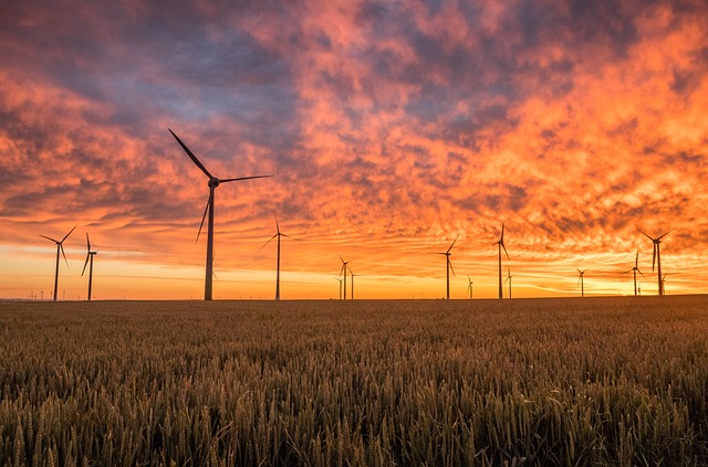 Découverte des énergies renouvelables : l’avenir de notre planète