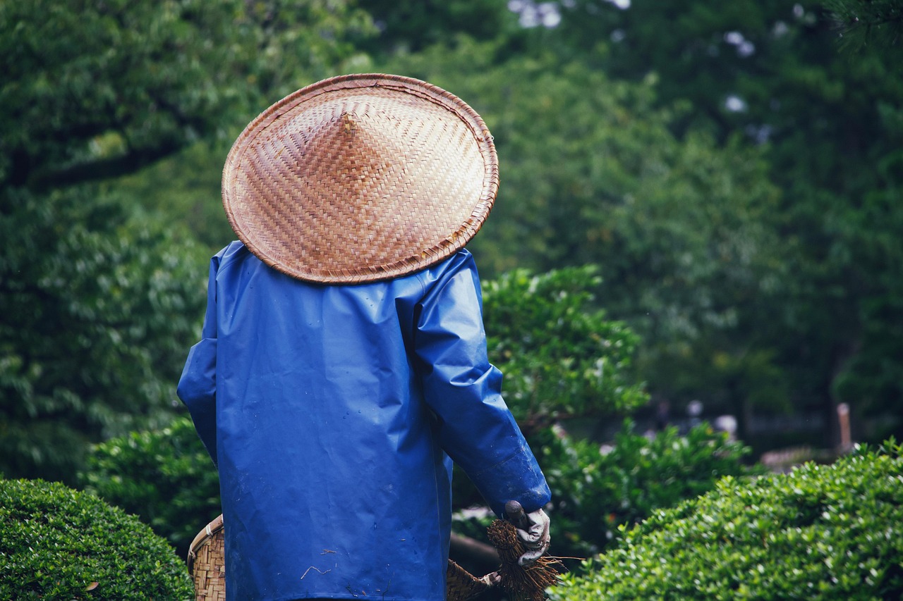 Les passionnés du jardinage (1/3) : Comment cultiver son espace vert aide les Français à se détendre et renouer avec la nature