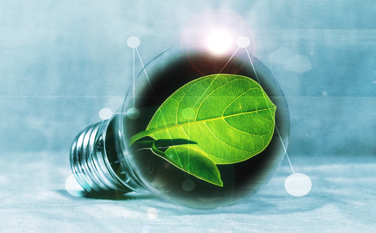 Innovation verte : les nouvelles technologies au service de l’environnement