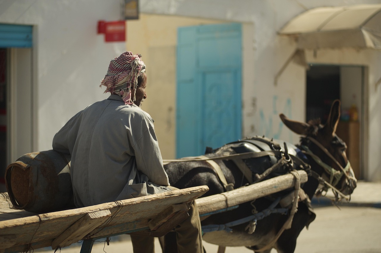 Code des changes en Tunisie : la CONECT appelle à une réforme urgente pour relever les défis économiques et financiers