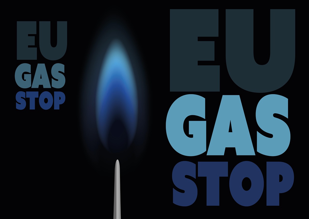 Analyse approfondie des émissions de gaz à effet de serre et de l’empreinte carbone en France