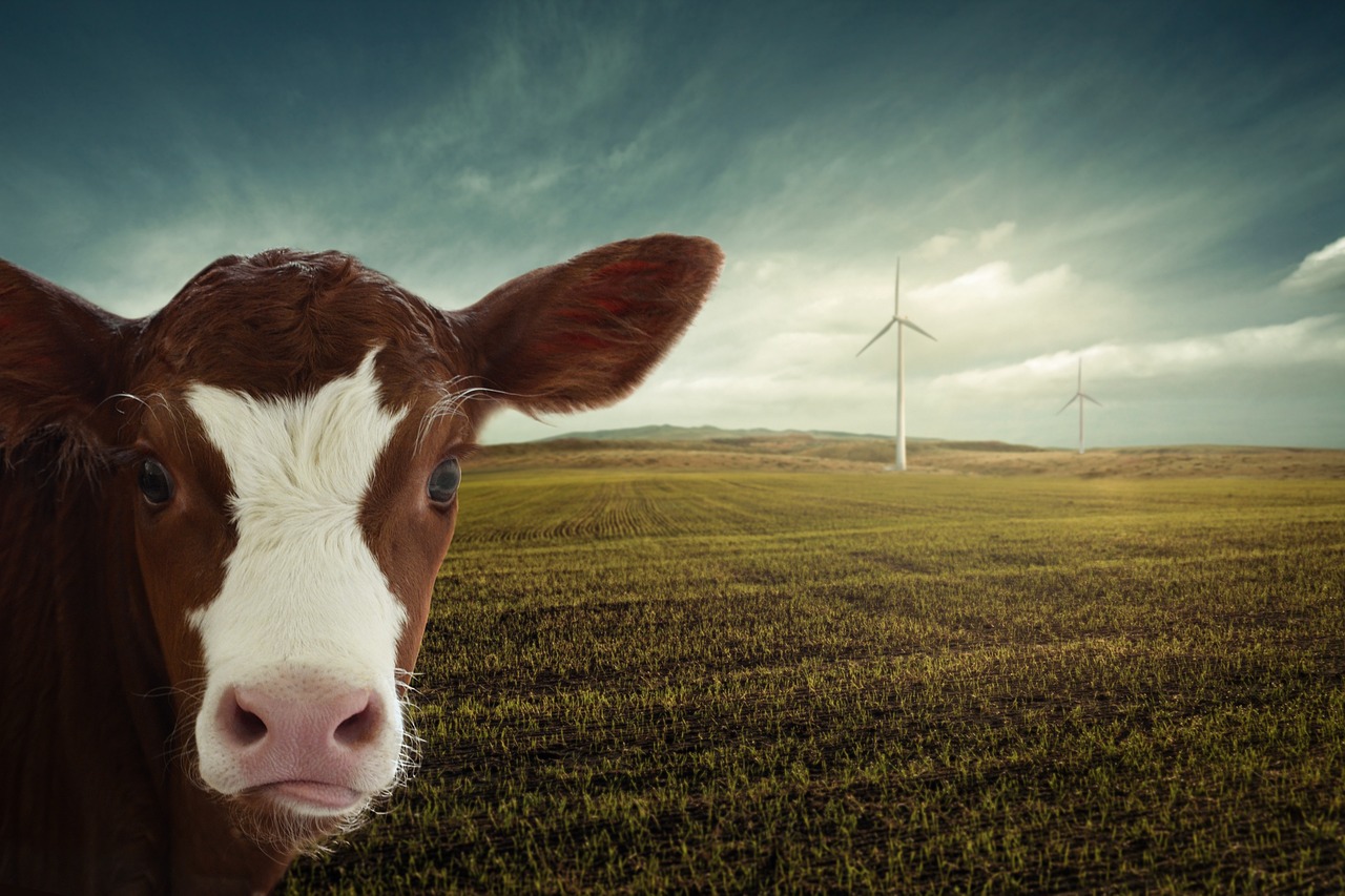 Le Haut Conseil pour le Climat exhorte les collectivités locales à renforcer leur engagement en faveur de la transition écologique