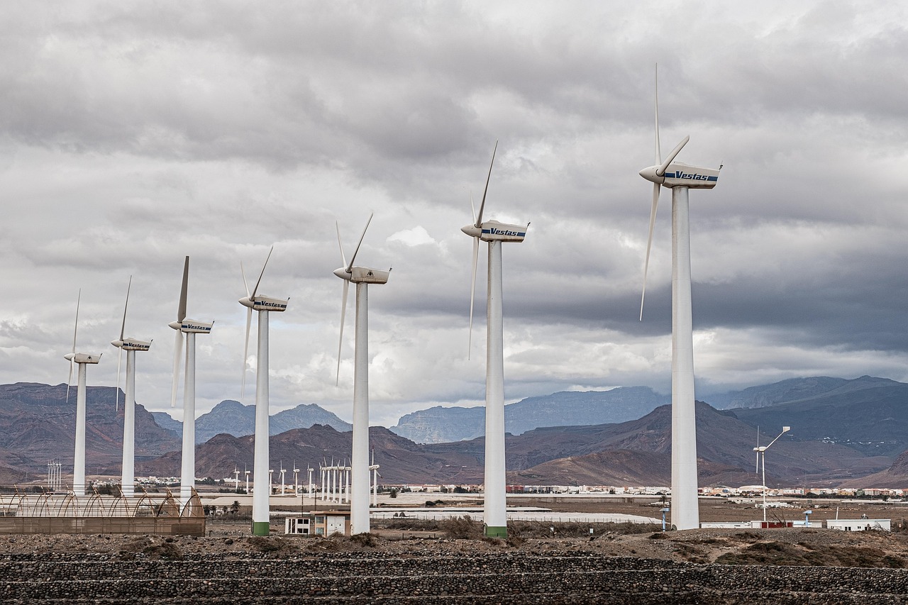 Transition écologique : défis et opportunités incontournables pour votre entreprise