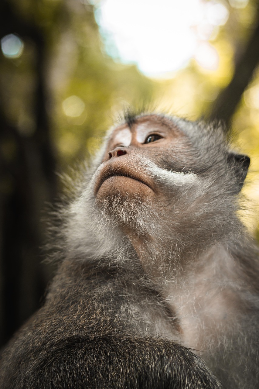 Comment la biodiversité influence nos modes de vie