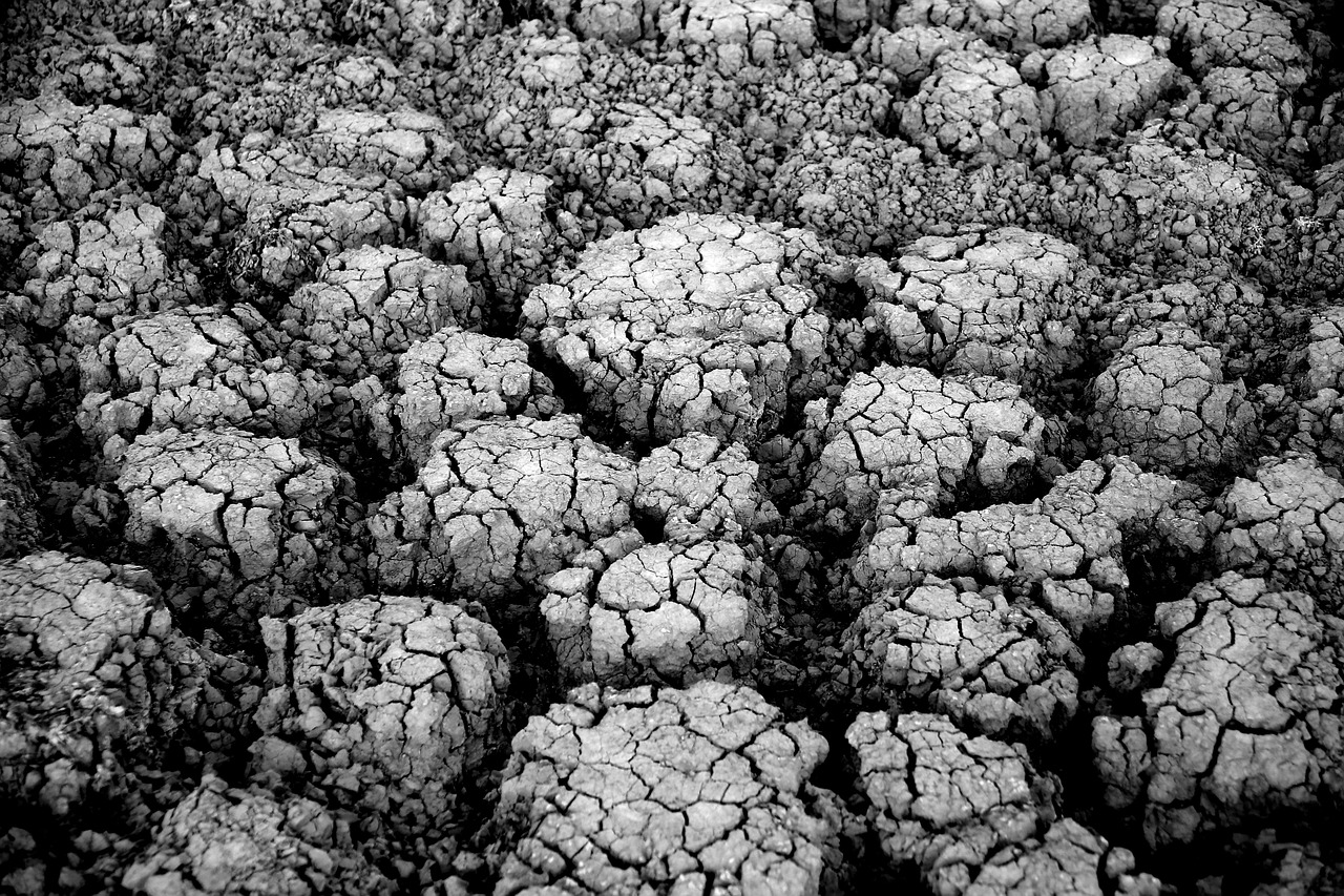 Terre et climat : Un voyage à travers les principales transformations depuis l’émergence de la Vie