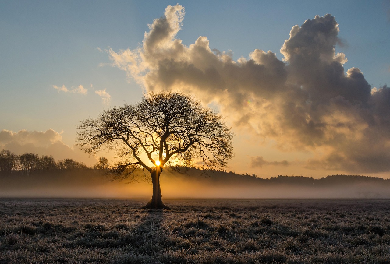 Arbre et Paysage 32 : une dynamique active malgré des incertitudes financières