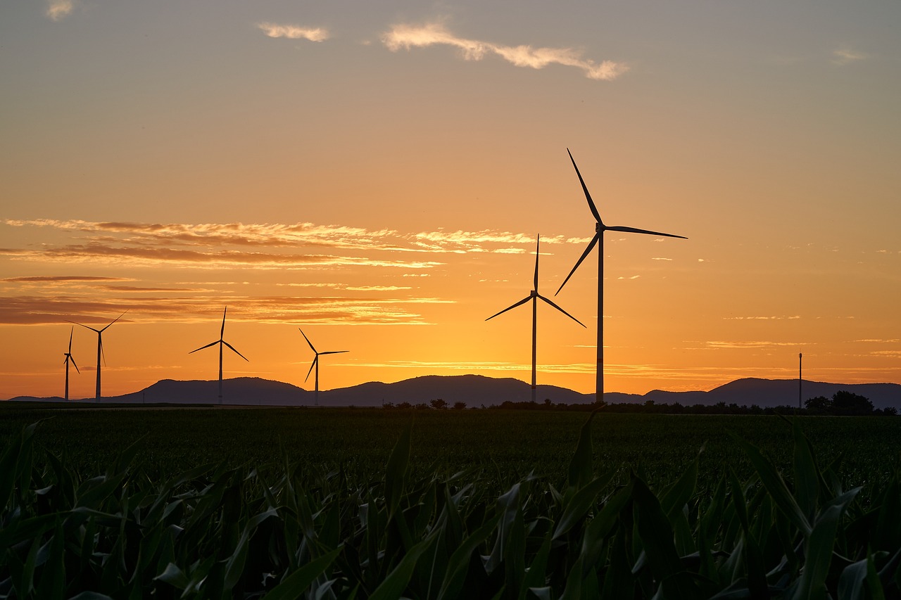 Le rôle des énergies renouvelables dans la lutte contre la pauvreté