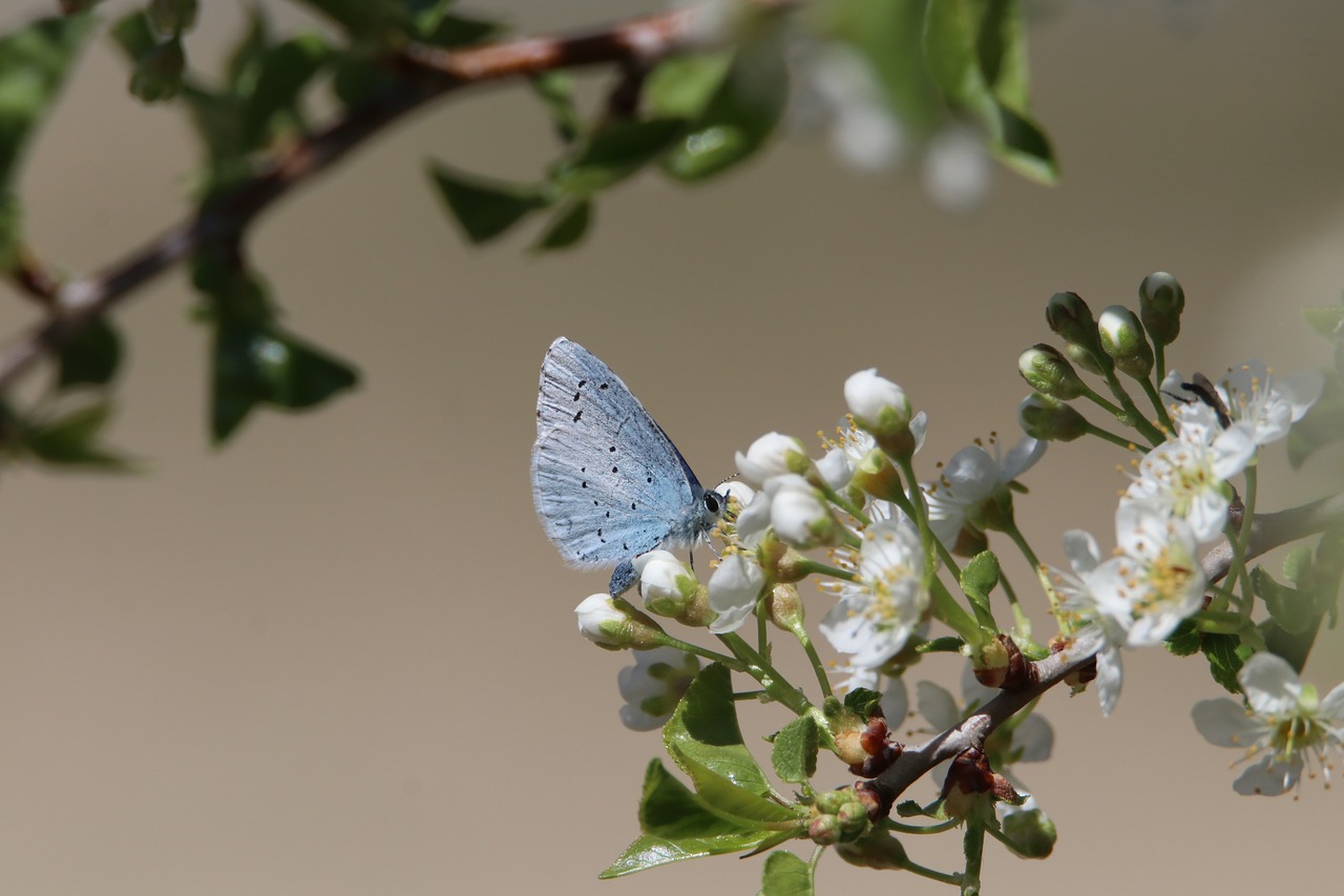 Comprendre l’importance de la biodiversité marine pour l’équilibre de nos écosystèmes