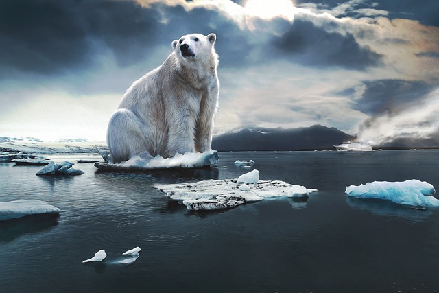 Climat : Camille Étienne s’envole mardi pour la COP30 au Brésil afin de contrecarrer l’influence de Trump et de ses alliés climatosceptiques