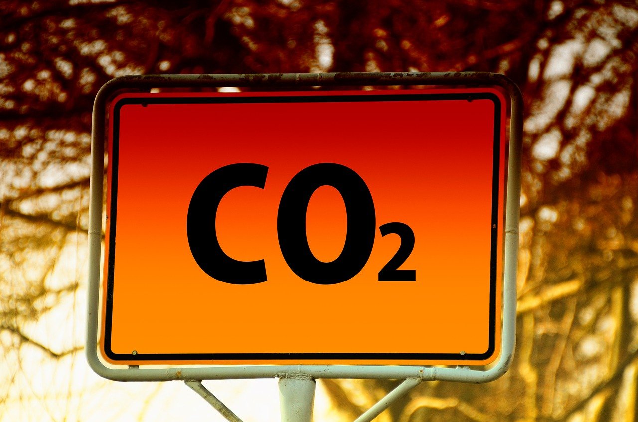Tournefeuille : la transition écologique s’invite au centre des discussions municipales