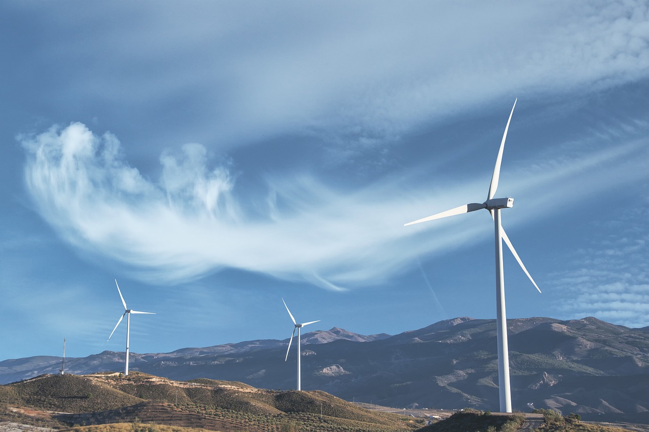 Stratégies écologiques : Comment adopter des pratiques durables au quotidien