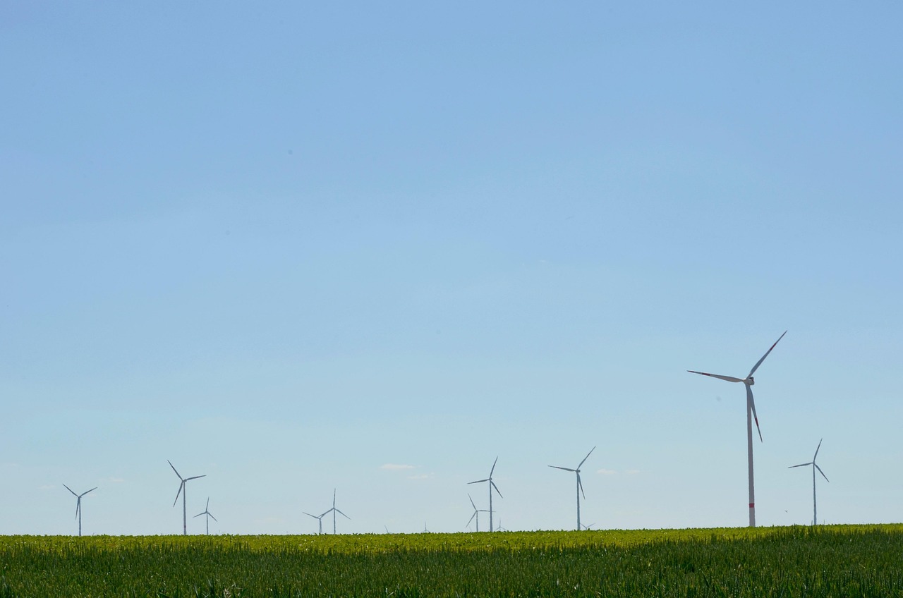 Le rôle des collectivités dans la transition écologique