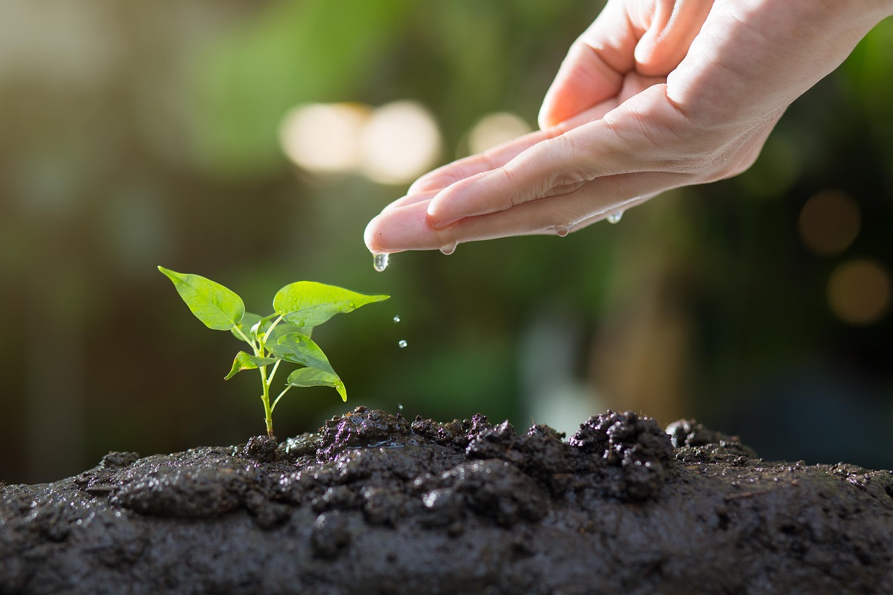 Éveiller les consciences : le guide incontournable pour sensibiliser efficacement à l’écologie