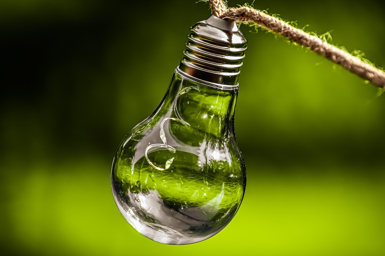 Initiatives Écologiques d’Ensemble pour la République : Au-delà du concept de « Planète Grande à Nouveau »